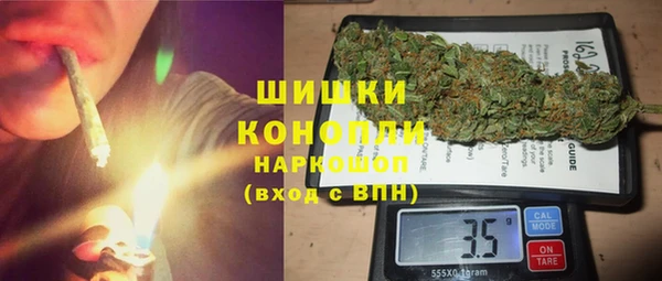 крисы Абаза