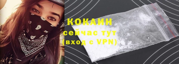 крисы Абаза