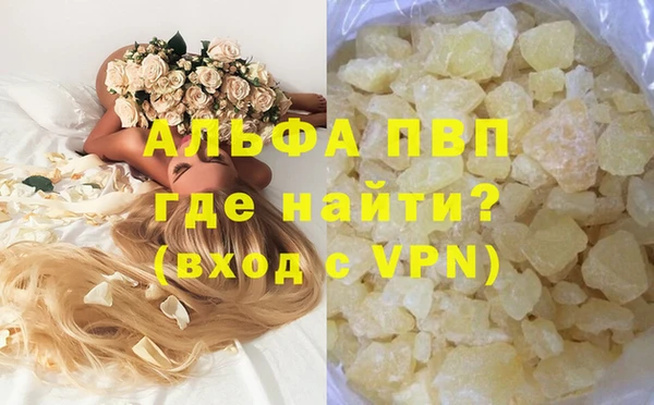 крисы Абаза
