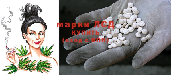 крисы Абаза
