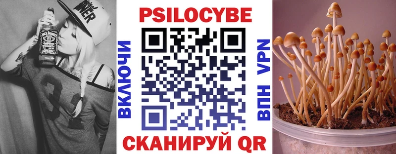 даркнет официальный сайт  Юрга  Галлюциногенные грибы Psilocybine cubensis  ссылка на мегу вход 