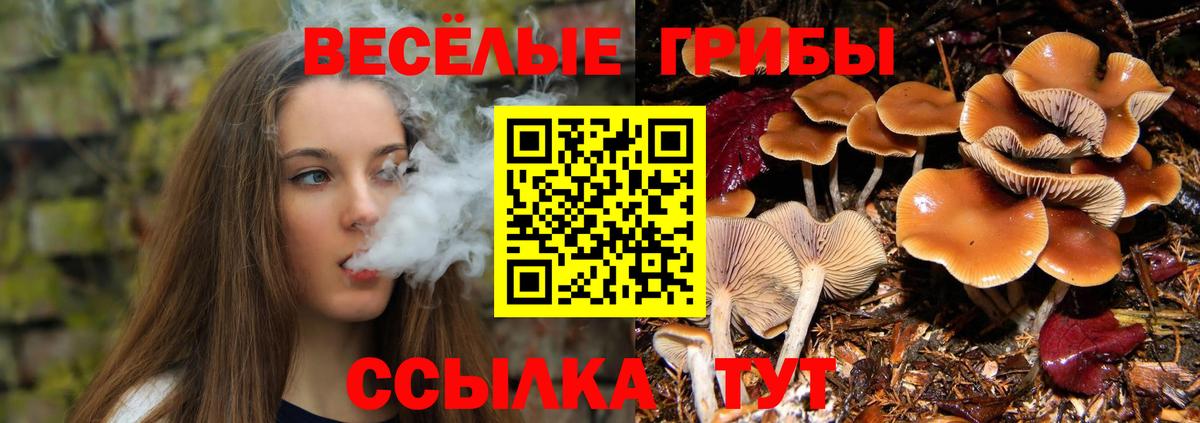цена наркотик  Псилоцибиновые грибы Psilocybine cubensis  Вход с VPN  Юрга 